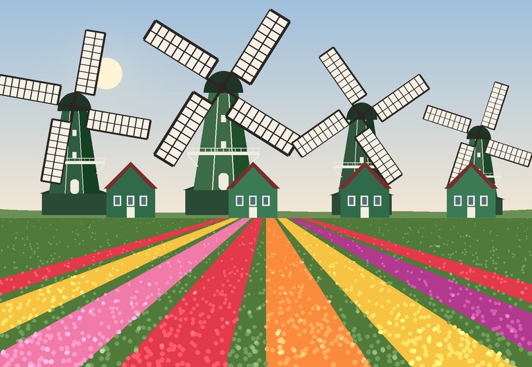 Zaanse Schans windmills with colourful tulip fields in spring